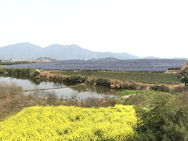 Kong Sun’s tea complementary solar power plants projects